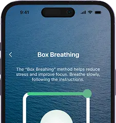 Unconscious Moderation sobriety app interface