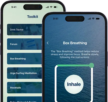 Unconscious Moderation sobriety app interface
